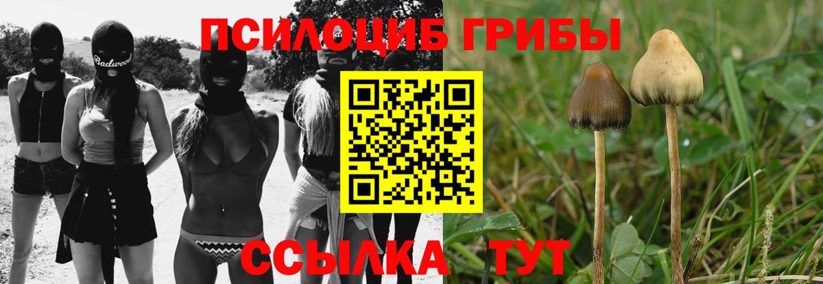 Псилоцибиновые грибы мухоморы  Вход с VPN  Нижний Новгород  продажа наркотиков  Галлюциногенные грибы мухоморы 