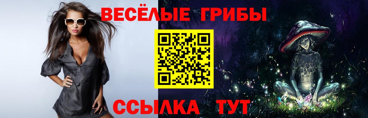 ГАШИШ Нижний Новгород